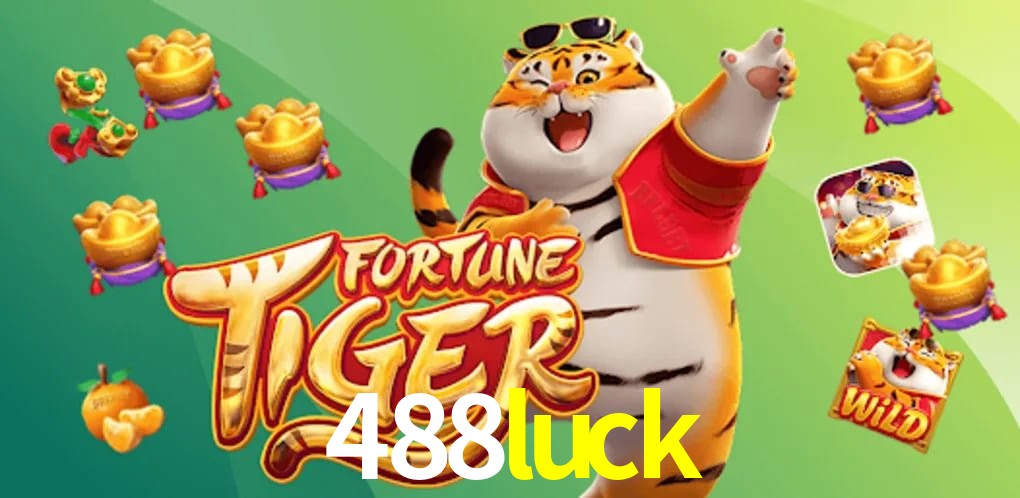 Bonus Features 488luck